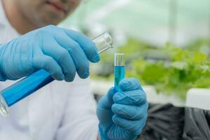 Organic farming, salad farm. Science farmers are checking water conditions during planting, checking for pesticide residues. Hydroponics vegetable, Ecological Biological, Healthy, Vegetarian, ecology photo