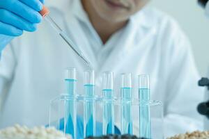 Scientist check chemical whole grains residues in laboratory. Control experts inspect the concentration of chemical residues. hazards, standard, prohibited substances, contaminate, Microbiologis photo