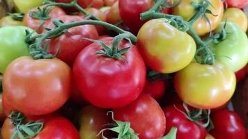 Tomates acostado en un pila rebaja en mercado, tomate textura. video