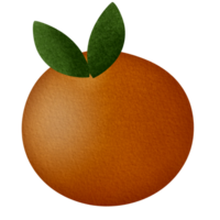 Cute fruit illustration. Pro PNG