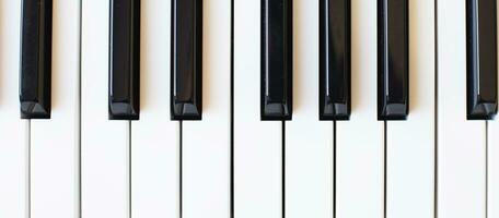 Synthesizer keys black and white background with copy space for your text. Piano octave close up photo