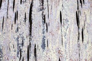 Old gray sheet metal smeared with black tar. shabby rusty metal surface. photo