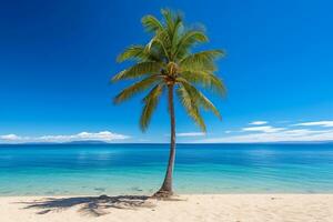 playa con palma arboles ai generado foto
