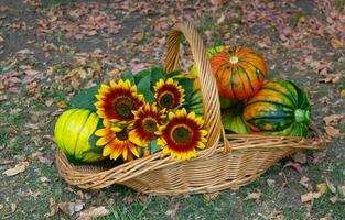 basket full of fruits and autumn flowers photo