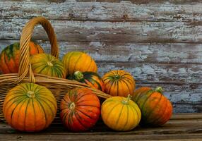 basket full of ripe pumpkins in autumn photo