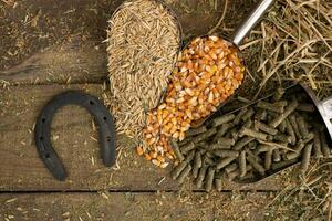 shovel spoons with horse food ingredients photo