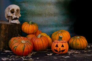 halloween decoration with pumpkins and skull photo