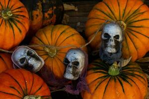 halloween decoration with pumpkins and skull photo