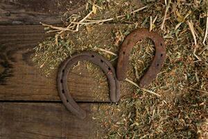 two equine horseshoes on wooden background with alfalfa leaves photo