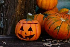 Jack-o'-lantern with pumpkins, halloween decoration photo