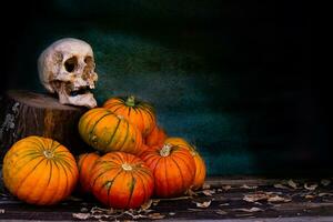 halloween decoration with pumpkins and skull photo