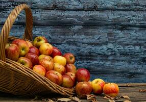 cesta lleno de maduro manzanas en otoño foto