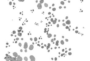 Light Silver, Gray vector pattern with curved circles.