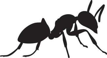 hormiga vector silueta ilustración negro color