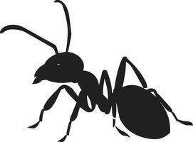 Ant vector silhouette illustration black color