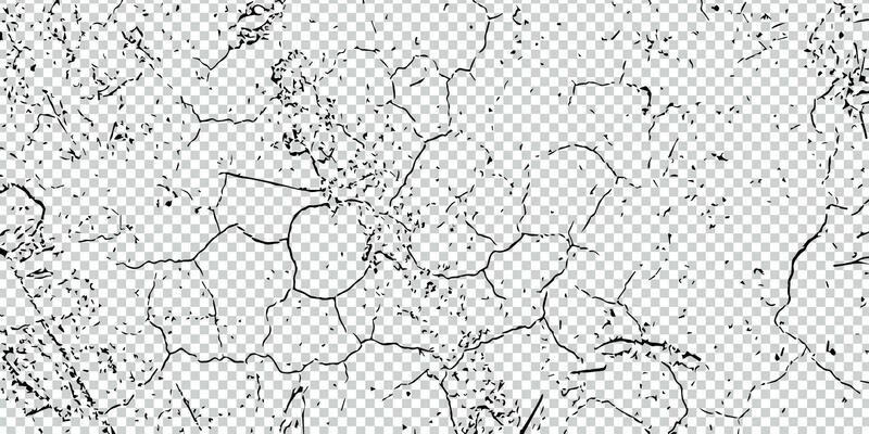 a white and black texture of a tree trunk, grunge texture design
