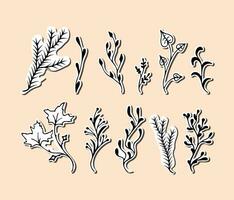 vector black on white stickers Branches. Twigs maple, aspen, coniferous, herb illustration.