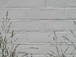 White Brick Background photo