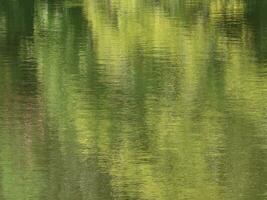 Green Reflection Background photo