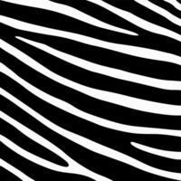 Zebra Pattern Background. Abstract Wild Animal Skin Print Design. Flat Vector Illustration.