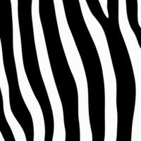 Zebra Pattern Background. Abstract Wild Animal Skin Print Design. Flat Vector Illustration.