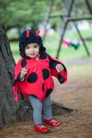 Little baby girl wearing a ladybug costume. Halloween concept. photo