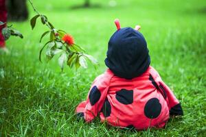 pequeño bebé niña vistiendo un mariquita traje. Víspera de Todos los Santos concepto foto