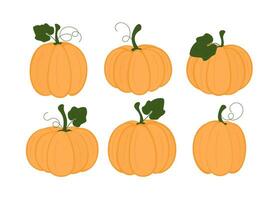 Set of pumpkins. Collection of autumn squash, pumpkins. Thanksgiving and Halloween design elements. vector