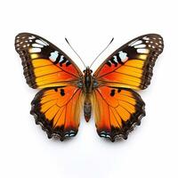 Beautiful big wild butterfly looking forward is shown in full length, Ai generated photo