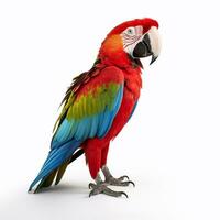 Beautiful big wild parrot looking forward is shown in full length, Ai generated photo