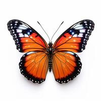 Beautiful big wild butterfly looking forward is shown in full length, Ai generated photo