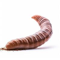 Beautiful big wild earthworm looking forward is shown in full length, Ai generated photo