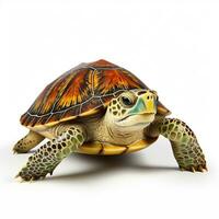 Beautiful big wild turtle looking forward is shown in full length, Ai generated photo