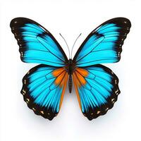 Beautiful big wild butterfly looking forward is shown in full length, Ai generated photo