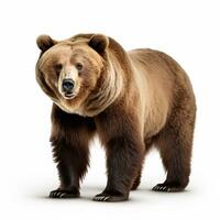 hermosa salvaje bestia oso mirando adelante es mostrado en lleno longitud, ai generado foto