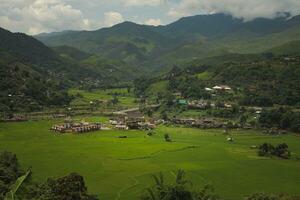 rice terrace and mountain range at span village bo kluea district nan province photo