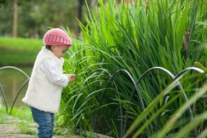 Sweet year and a half baby girl at the garden in a beautiful sunny day photo