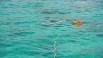 phan nga, Tailândia novembro 23, 2016 - turistas snorkeling perto a similan ilhas video