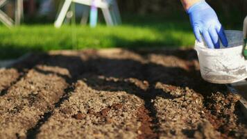 uomo fertilizza il suolo per in crescita colture video
