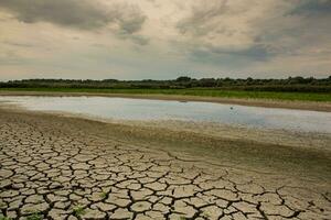 el Danubio delta es un único y biodiverso región situado en del sudeste Europa, ante todo en Rumania foto