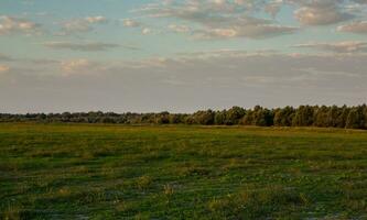 The Danube Delta is a unique and biodiverse region located in southeastern Europe, primarily in Romania photo