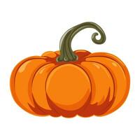 vector illustration of a cartoon pumpkin isolated on white background