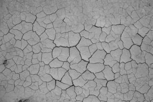 Dry cracked earth background. Global warming and climate change concept. photo