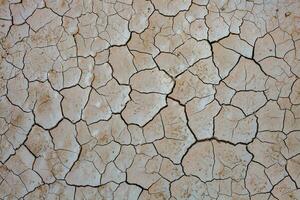 Dry cracked earth background. Global warming and climate change concept. photo