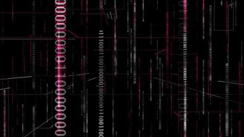 Magenta red color digital matrix background with and binary codes video