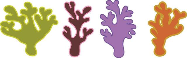 Set of sea corals on a white background vector