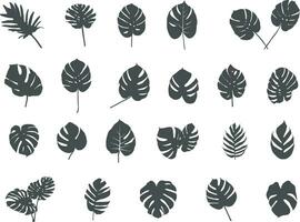 Tropical leaves silhouette, Tropical palm leaves vector, Leaves silhouette, Leaf icon vector