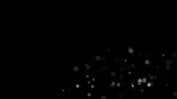 Abstract white glitter and particle on black background. Looped animation with beautiful white bokeh on black background. video