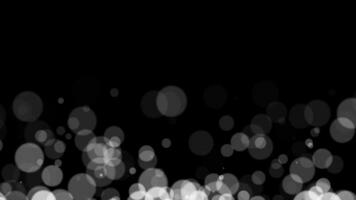 Abstract white glitter and particle on black background. Looped animation with beautiful white bokeh on black background. video