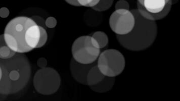 Abstract white glitter and particle on black background. Looped animation with beautiful white bokeh on black background. video